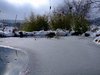 mini-Teich winter1